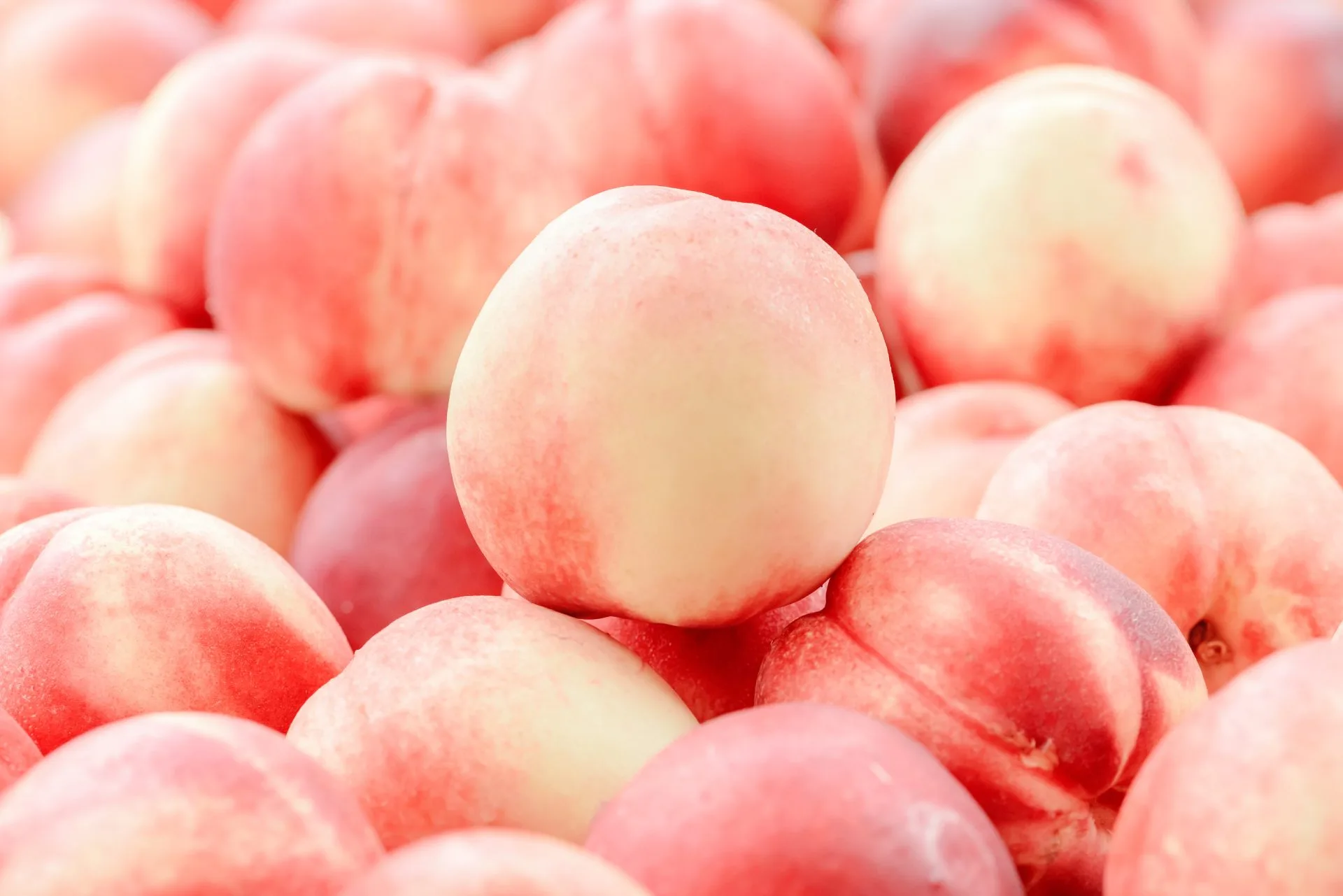 Yeni Bir Başlangıç